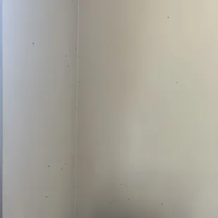 Flies on the wall. Al the dark specks are flies.