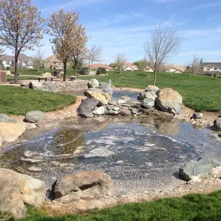 Water feature. Covered in flower petals