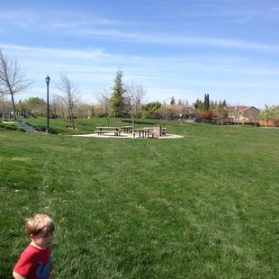 Lots of room to run