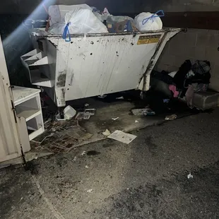 This is how the dumpster look and will stay like that and sometimes it&apos;s worse it&apos;s disgusting!