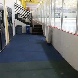 Spectator viewing in Olympic rink