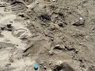Sand Cove Beach