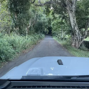 Road to Hana Back trip in a Jeep