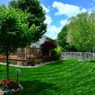 the backyard
