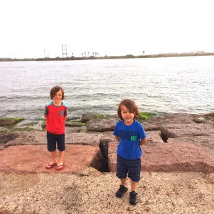 Dolphin search team.