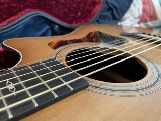 The Village Guitarist