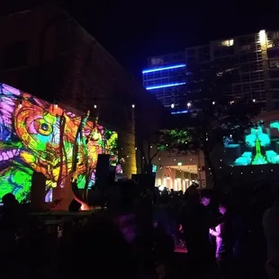 Trippy visuals, stellar sound, jumping crowd, fun venue, and cool view from this corridor.