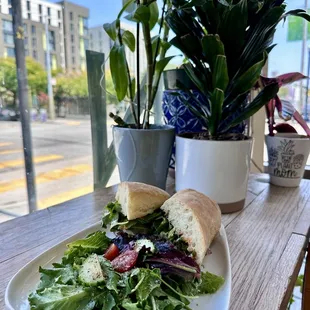 Steak sandwich with a side salad