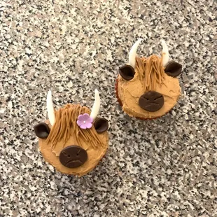 Yak Birthday Cupcakes