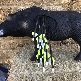 Breaking in the new PSE with some practice arrows in my backyard.