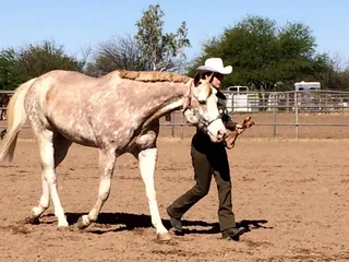 Head To Tail Riding School