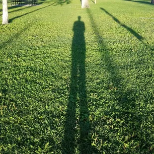 Walking with my shadow this morning