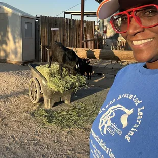Hey... look at me... having fun with the baby goats while working a volunteer maintenance shift!