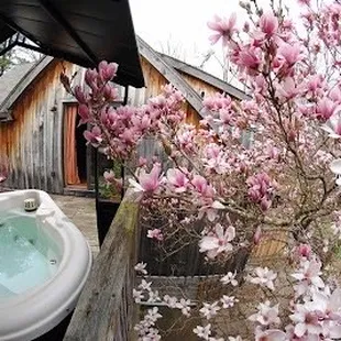 This is the deck for the treetop looking back at the entrance into the family room