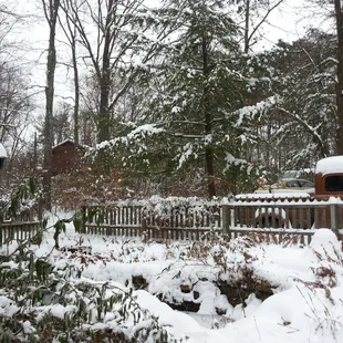 Perfect yard decor.....the classic old truck.