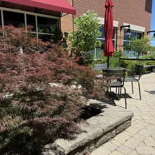 Very pleasant dining outside Al fresco!