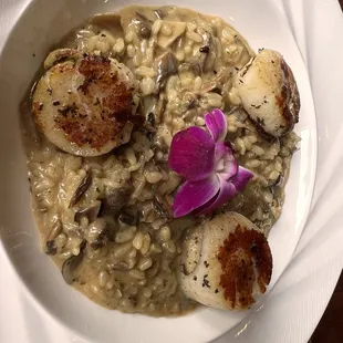 Mushroom Risotto with scallops.
