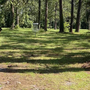 Rob's Place at New World & Cecil Field Golf Course