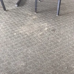Pile of dirt