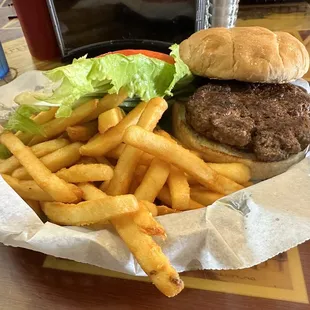 Hamburger and fries