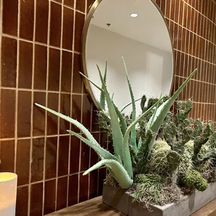 interior, sushi and sashimi