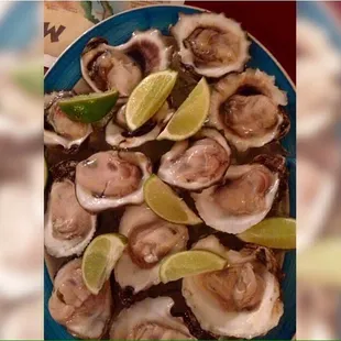 Dozen Oysters