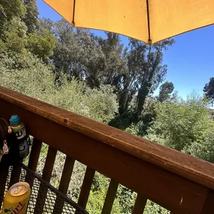 he view from the deck