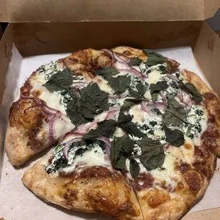 Cheese Plain Pizza Appetizer with spinach and basil