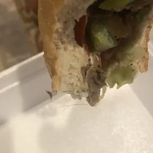 Steak and Cheese Regular Sandwich