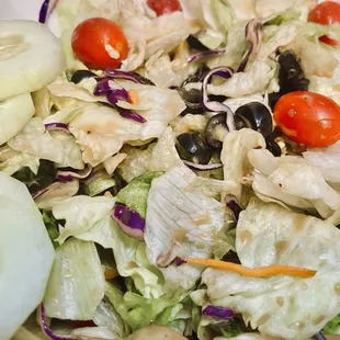 Large  salad with vinaigrette