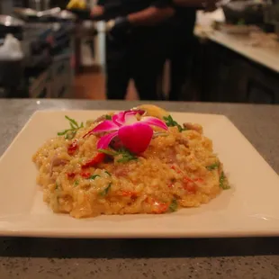 Risotto Aurora