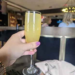 a person holding a glass of wine