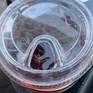 Hibiscus was BOMB! Almost like Kool Aid and tea but better!