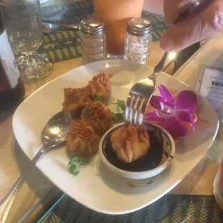 Thai Dumplings