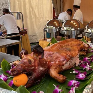 suckling pig
