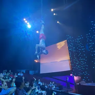 Coin jumpers hanging from their ankles
