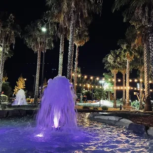 Night at Rock &amp; Brews is resort looking