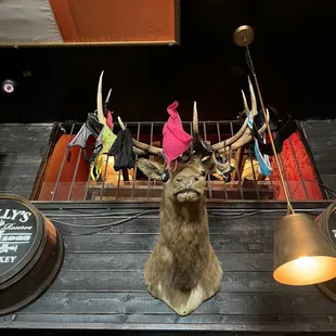 a deer head mounted on a bar