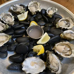 HH oysters