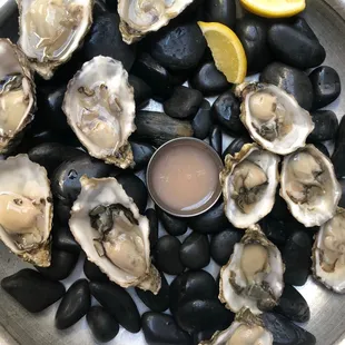 Oysters on the Half Shell