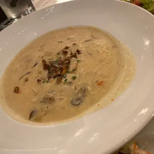 Oyster Chowder