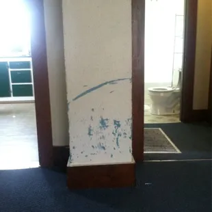 One of the walls in the living room