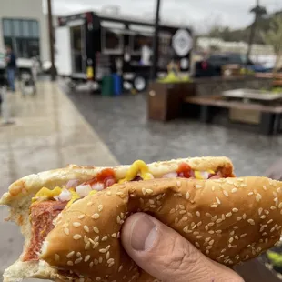 a hand holding a hot dog