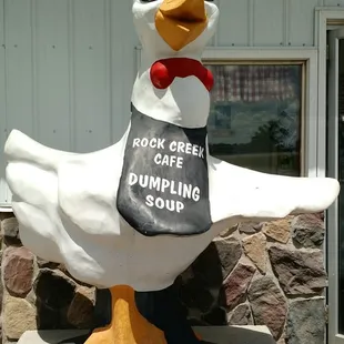 This is where happy chickens hang out.