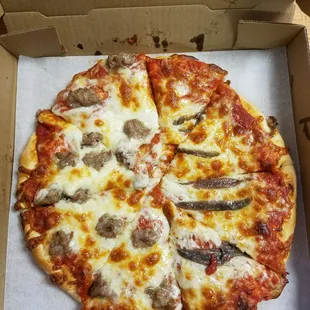 Large 1/2 sausage 1/2 anchovies