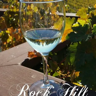 Having a glass of wine over looking the vineyard