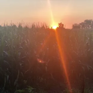 Sunrise on the trail