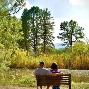Cute bench at the pond with a mountain view