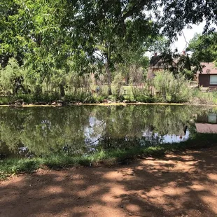 Perfect place to relax and have a picnic lunch