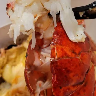 Lobster Tail
